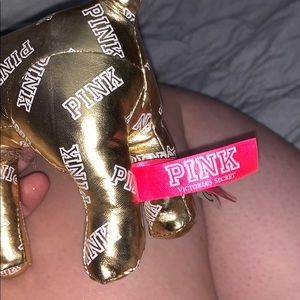PINK Victoria's Secret Other - Victoria’s Secret PINK dog PINK Victoria's Secret Other - Victoria’s Secret PINK dog